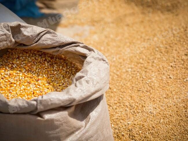 Lote em leilao em Brasil - Lote 145