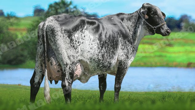Lote em leilão em Brasil