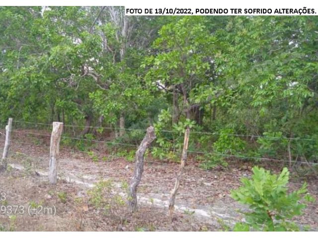 Terreno em leilão em São Desidério/BA