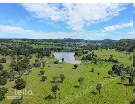 Imovel rural em leilao em Fazenda Nova/GO