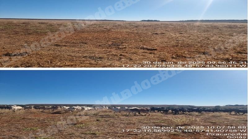 Terreno em leilao em Piracanjuba/GO