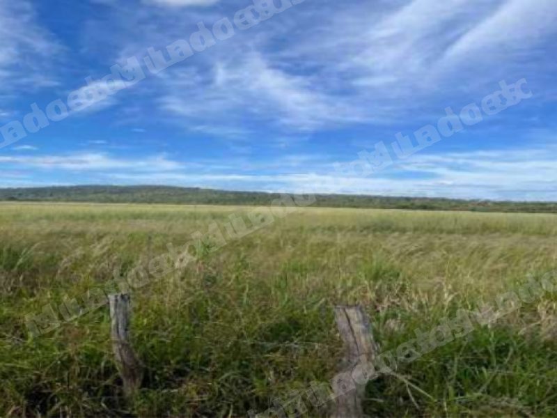 Terreno em leilao em Novas/GO