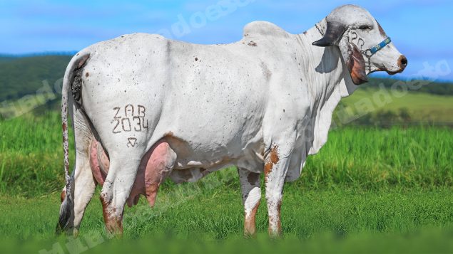 Veiculo em leilao em Brasil