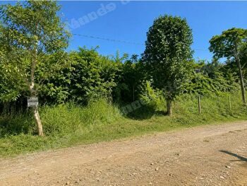 Terreno de 538 m2 em leilao em Carangola/MG