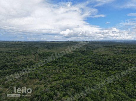 Imóvel rural em leilão em Serranópolis/GO