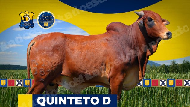 Lote em leilao em Brasil