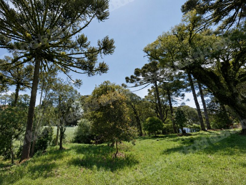 Terreno em leilao em Canela/RS