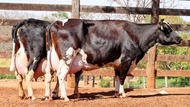 Lote em leilao em Cristalina/GO