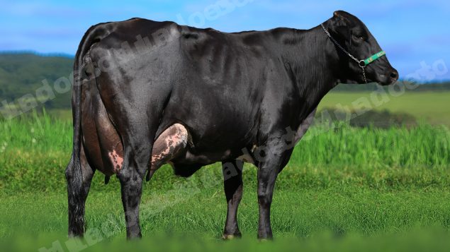 Lote em leilao em Estrela do Indaiá/MG - Lote 4