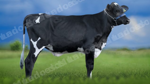 Lote em leilao em Igaratinga/MG - Lote 8