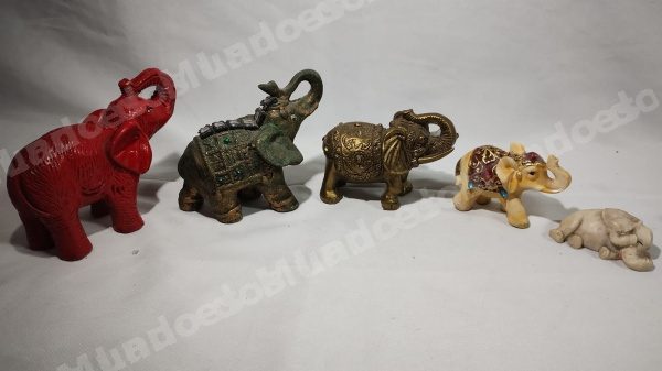 Lote em leilao em Brasil