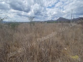 Terreno em leilao em Arcoverde/PE