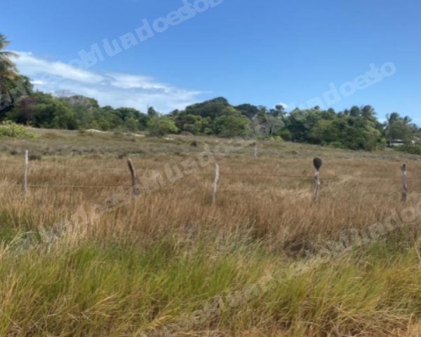 Terreno em leilao em Itaporanga D'ajuda/SE