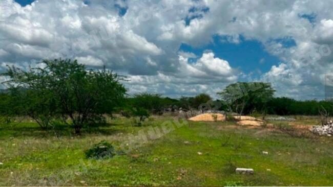 Terreno em leilao em Terreno Em Jucurutu/RN