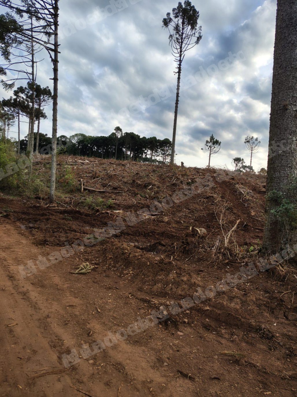 Terreno em leilao em Brasil - Lote 68