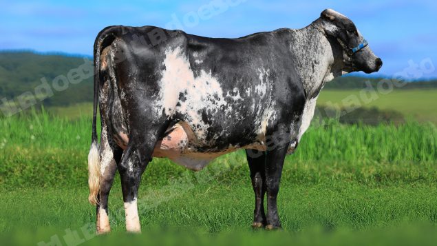 Lote em leilao em Estrela do Indaiá/MG - Lote 5