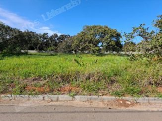 Terreno em leilão em Monte/MG - Lote 2