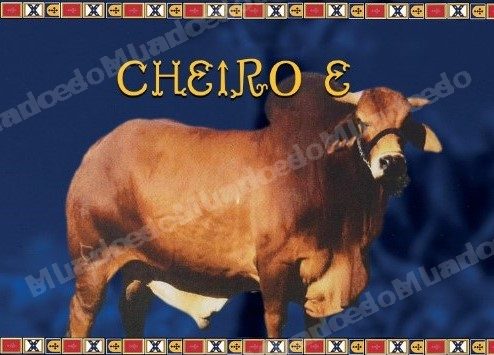 Lote em leilao em Brasil