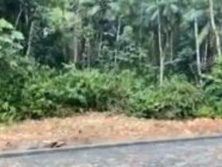 Terreno de 5533 m2 em leilão em Timbó/SC