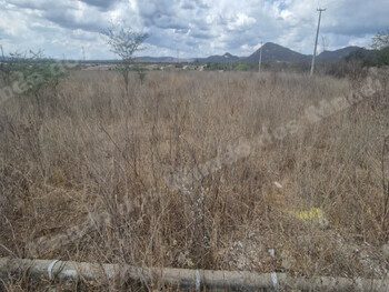 Terreno em leilao em Arcoverde/PE
