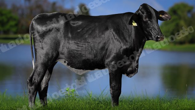 Lote em leilao em Carmo da Mata/MG