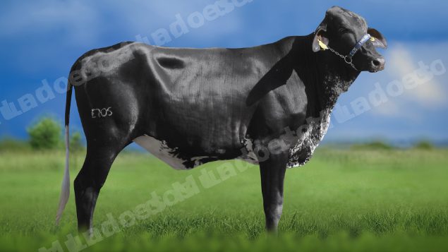 Veiculo em leilao em Igaratinga/MG - Lote 1