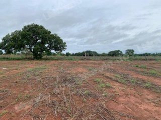 Terreno de 3040 m2 em leilão em Porto Nacional/TO