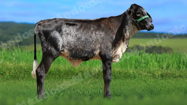 Veiculo em leilao em Estrela do Indaiá/MG - Lote 1