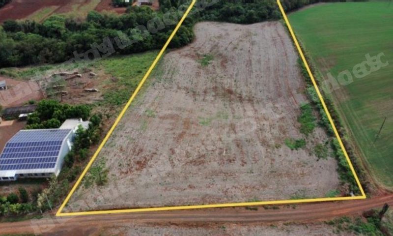 Imovel rural em leilao em Mercedes/PR