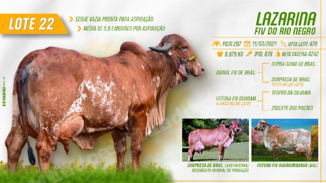 Lote em leilão em Jales/SP - Lote 5