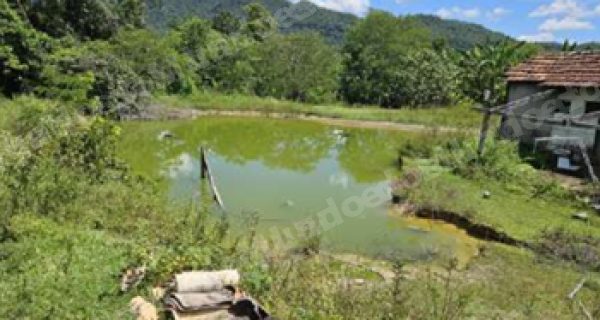 Imovel em leilao em Goiânia/GO