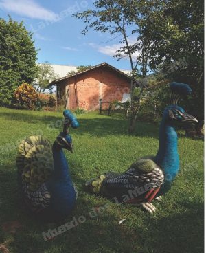 Lote em leilao em SC