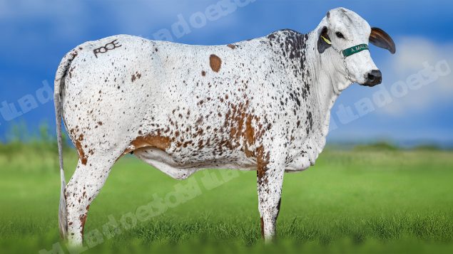 Lote em leilao em Miradouro/MG