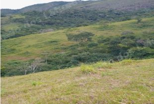 Terreno em leilao em Campos dos Goytacazes/RJ