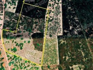 Imovel rural em leilao em Serra do Félix Beberibe/CE