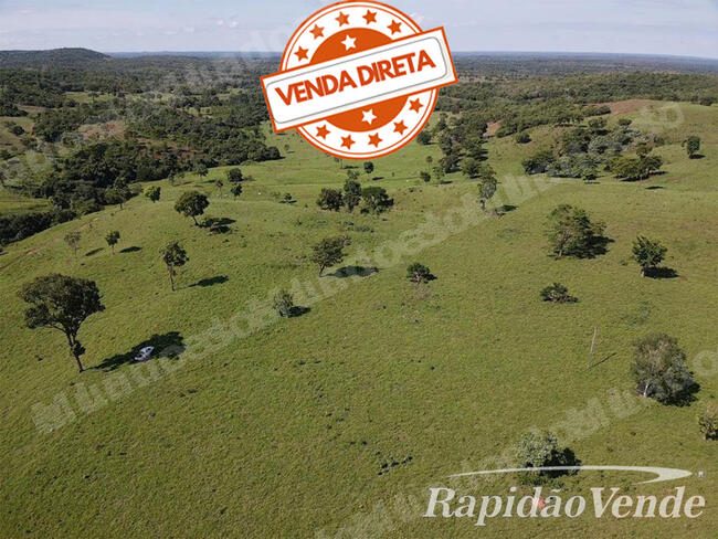 Imovel rural em leilao em TO