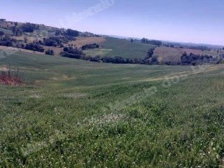 Terreno em leilao em Nova Tebas/PR