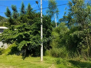 Terreno de 499 m2 em leilao em Carangola/MG