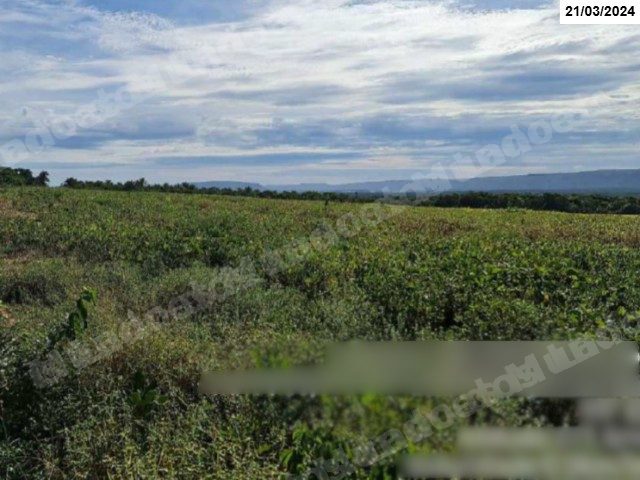 Terreno em leilao em Alto Paraguai/MT