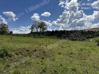 Imóvel rural em leilão em Arapoti/PR - Lote 3