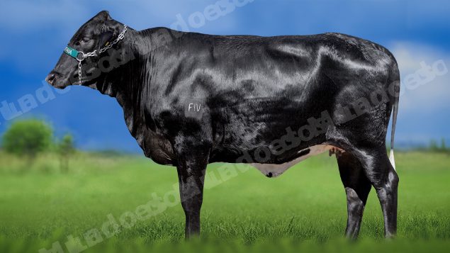 Lote em leilao em Miradouro/MG