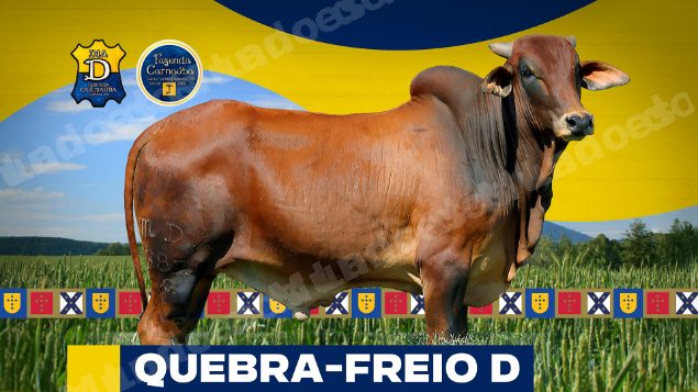 Lote em leilao em Brasil