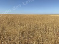 Terreno em leilao em Sacramento/MG