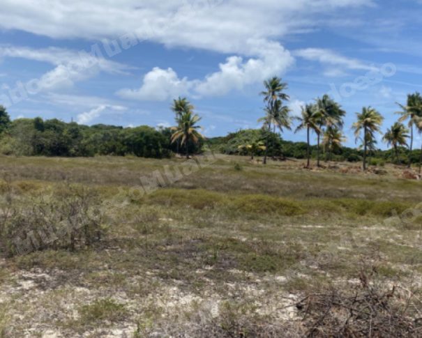 Terreno de 300 m2 em leilao em Itaporanga D'ajuda/SE