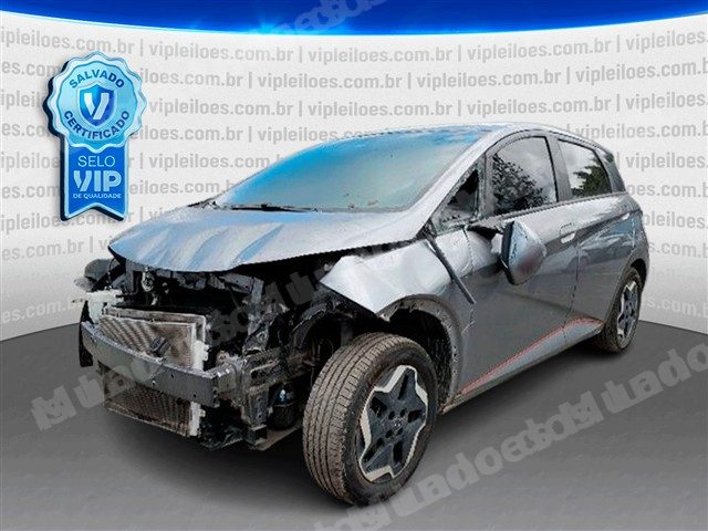 Byd 2023 em leilão em Brasil