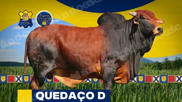 Lote em leilao em Brasil