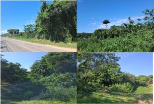 Terreno de 12600 m2 em leilao em Araruama/RJ