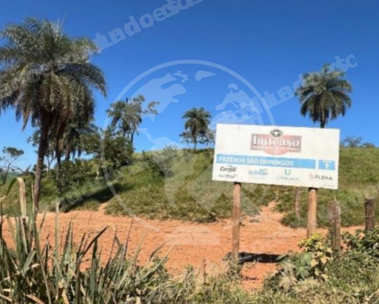 Terreno em leilao em Luz/MG