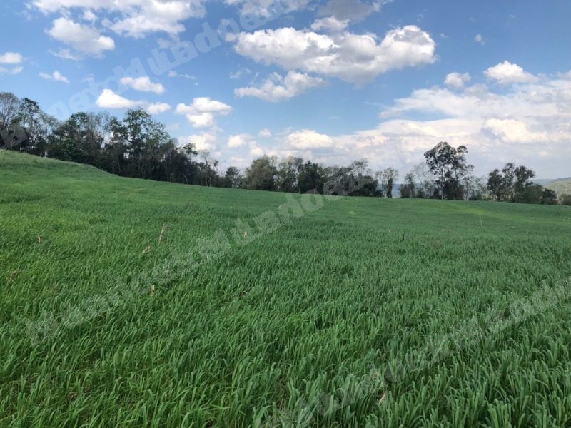 Terreno em leilão em Floriano Peixoto/RS - Lote 1