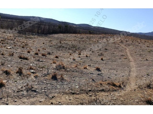 Imovel rural em leilao em São José do Belmonte/PE